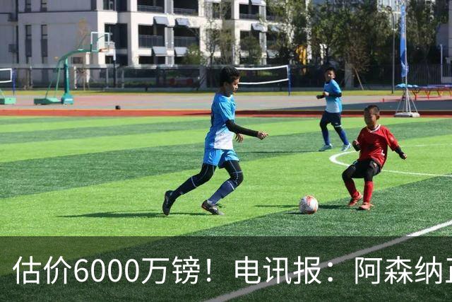 估价6000万镑！电讯报：阿森纳正关注维拉后卫孔萨