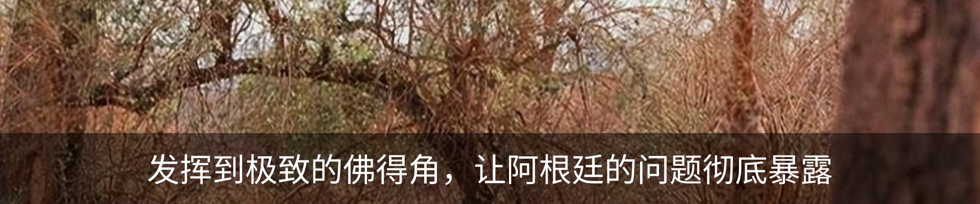 资讯中心